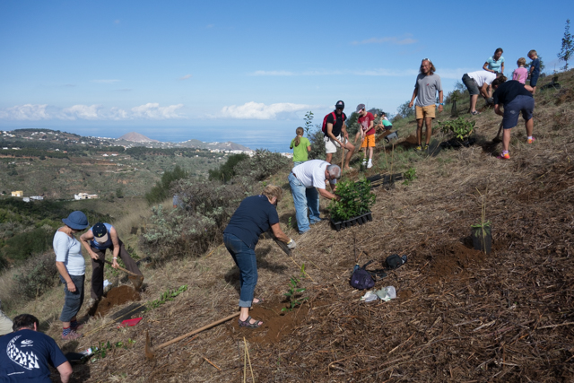 Forest Project-011-web